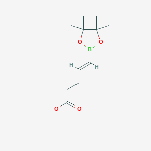 Chemical structure of 2-Methyl-5-(tert-butyl)furan-3-boronic acid pinacol ester