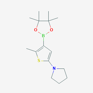 Chemical structure of 2-Methyl-5-(pyrrolidino)thiophene-3-boronic acid pinacol ester