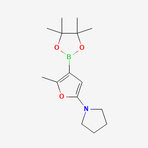 Chemical structure of 2-Methyl-5-(pyrrolidino)furan-3-boronic acid pinacol ester