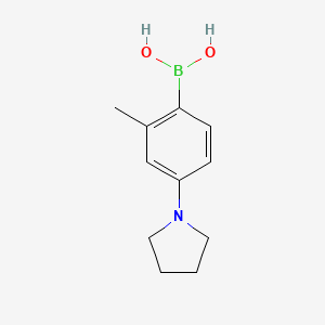 Chemical structure of 2-Methyl-4-(pyrrolidino)phenylboronic acid