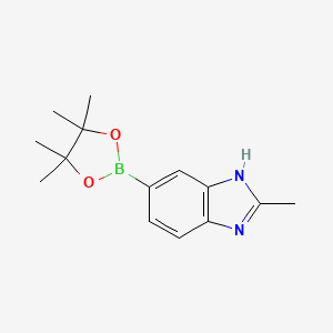 Chemical structure of 2-Methyl-1H-benzimidazole-5-boronic acid pinacol ester