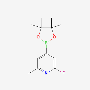 Chemical structure of 2-Fluoro-6-methyl-4-(4,4,5,5-tetramethyl-1,3,2-dioxaborolan-2-yl)pyridine