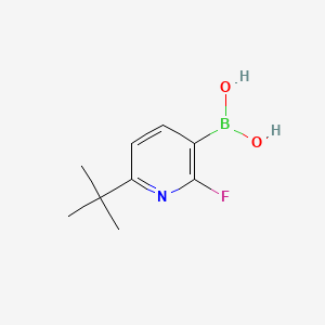 Chemical structure of 2-Fluoro-6-(tert-butyl)pyridine-3-boronic acid