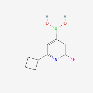 Chemical structure of 2-Fluoro-6-(cyclobutyl)pyridine-4-boronic acid