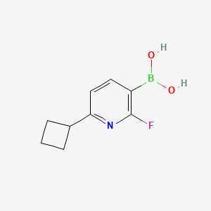 Chemical structure of 2-Fluoro-6-(cyclobutyl)pyridine-3-boronic acid
