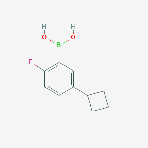 Chemical structure of 2-Fluoro-5-(cyclobutyl)phenylboronic acid