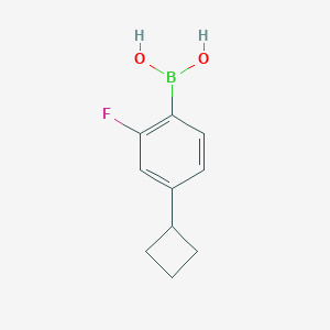 Chemical structure of 2-Fluoro-4-(cyclobutyl)phenylboronic acid