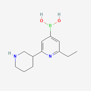 Chemical structure of 2-Ethyl-6-(piperidin-3-yl)pyridine-4-boronic acid