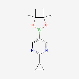 Chemical structure of 2-Cyclopropyl-5-(4,4,5,5-tetramethyl-1,3,2-dioxaborolan-2-yl)pyrimidine