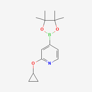 Chemical structure of 2-Cyclopropoxy-4-(4,4,5,5-tetramethyl-1,3,2-dioxaborolan-2-yl)pyridine