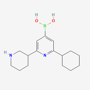 Chemical structure of 2-Cyclohexyl-6-(piperidin-3-yl)pyridine-4-boronic acid