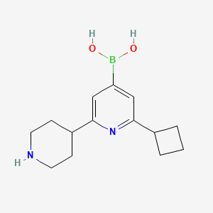 Chemical structure of 2-Cyclobutyl-6-(piperidin-4-yl)pyridine-4-boronic acid