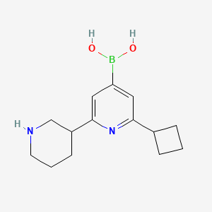 Chemical structure of 2-Cyclobutyl-6-(piperidin-3-yl)pyridine-4-boronic acid