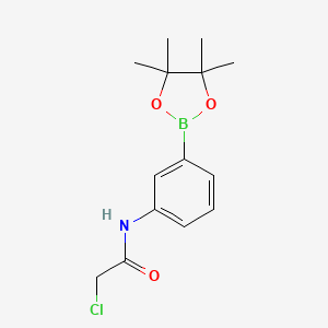 Chemical structure of 2-chloro-N-[3-(4,4,5,5-tetramethyl-1,3,2-dioxaborolan-2-yl)phenyl]acetamide