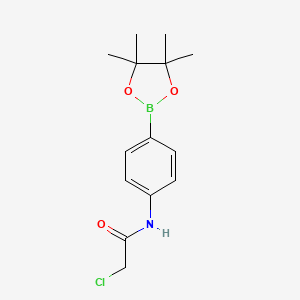 Chemical structure of 2-Chloro-N-(4-(4,4,5,5-tetramethyl-1,3 ,2-dioxaborolan-2-yl)phenyl)acetamide