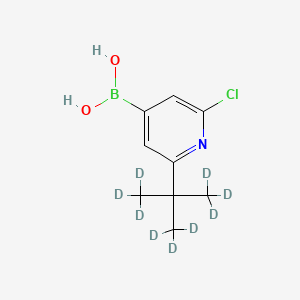 Chemical structure of 2-Chloro-6-(tert-butyl-d9)-pyridine-4-boronic acid