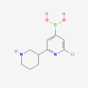 Chemical structure of 2-Chloro-6-(piperidin-3-yl)pyridine-4-boronic acid