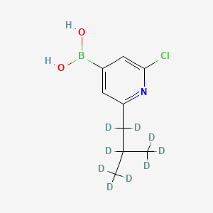 Chemical structure of 2-Chloro-6-(iso-butyl-d9)-pyridine-4-boronic acid