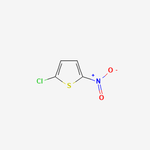 Chemical structure of 2-Chloro-5-nitrothiophene
