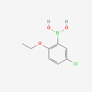 Chemical structure of 2-Chloro-5-methoxy-4-methylphenylboronic acid