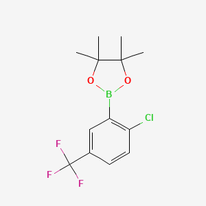 Chemical structure of 2-Chloro-5-(trifluoromethyl)phenylboronic acid pinacol ester