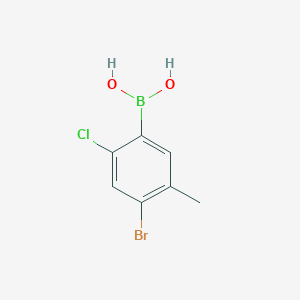 Chemical structure of 2-Chloro-4-bromo-5-methylphenylboronic acid