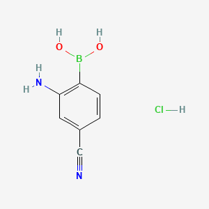 Chemical structure of 2-Chloro-4-(cyclopropyl)pyrimidine-5-boronic acid