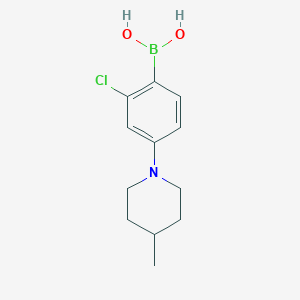 Chemical structure of 2-Chloro-4-(4-methylpiperidin-1-yl)phenylboronic acid