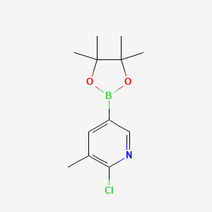 Chemical structure of 2-Chloro-3-methylpyridine-5-boronic Acid Pinacol Ester
