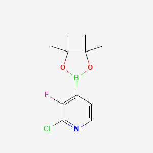 Chemical structure of 2-Chloro-3-fluoro-4-(4,4,5,5-tetramethyl-1,3,2-dioxaborolan-2-yl)pyridine