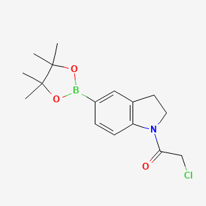 Chemical structure of 2-chloro-1-(5-(4,4,5,5-tetraMethyl-1,3,2-dioxaborolan-2-yl)indolin-1-yl)ethanone