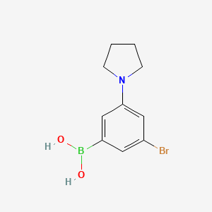 Chemical structure of 2-Bromo-4-(pyrrolidino)phenylboronic acid