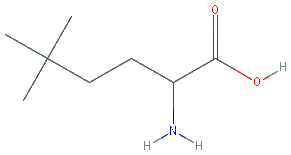 Chemical structure of 2-Amino-5,5-dimethylhexanoic acid
