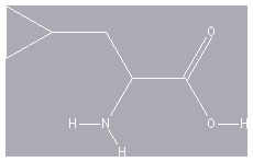 Chemical structure of 2-amino-3-cyclopropyl-propionic acid