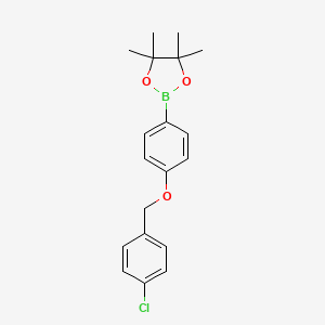 Chemical structure of 2-{4-[(4-chlorophenyl)methoxy]phenyl}-4,4,5,5-tetramethyl-1,3,2-dioxaborolane
