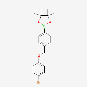 Chemical structure of 2-{4-[(4-bromophenoxy)methyl]phenyl}-4,4,5,5-tetramethyl-1,3,2-dioxaborolane