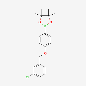Chemical structure of 2-{4-[(3-chlorophenyl)methoxy]phenyl}-4,4,5,5-tetramethyl-1,3,2-dioxaborolane