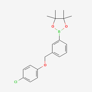 Chemical structure of 2-{3-[(4-chlorophenoxy)methyl]phenyl}-4,4,5,5-tetramethyl-1,3,2-dioxaborolane