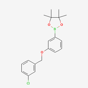 Chemical structure of 2-{3-[(3-chlorophenyl)methoxy]phenyl}-4,4,5,5-tetramethyl-1,3,2-dioxaborolane