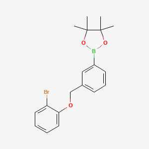 Chemical structure of 2-{3-[(2-bromophenoxy)methyl]phenyl}-4,4,5,5-tetramethyl-1,3,2-dioxaborolane