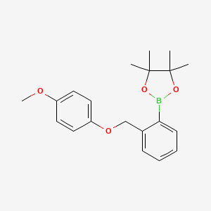 Chemical structure of 2-{2-[(4-methoxyphenoxy)methyl]phenyl}-4,4,5,5-tetramethyl-1,3,2-dioxaborolane