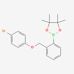 Chemical structure of 2-{2-[(4-bromophenoxy)methyl]phenyl}-4,4,5,5-tetramethyl-1,3,2-dioxaborolane