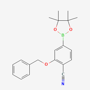 Chemical structure of 2-{[3-(4,4,5,5-tetramethyl-1,3,2-dioxaborolan-2-yl)phenoxy]methyl}benzonitrile