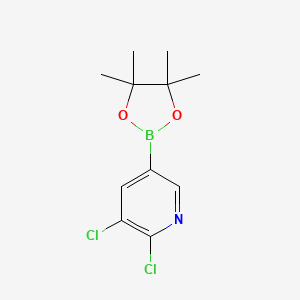 Chemical structure of 2,3-Dichloro-5-(4,4,5,5-tetramethyl-1,3,2-dioxaborolan-2-yl)pyridine