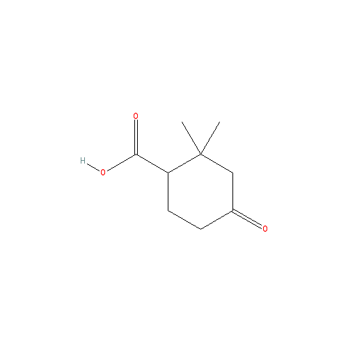 Chemical structure of 2,2-Dimethyl-4-oxocyclohexanecarboxylic acid