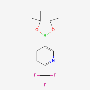 Chemical structure of 2-Trifluoromethylpyridine-5-boronic acid pinacol ester