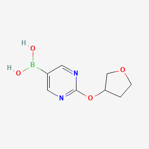 Chemical structure of 2-(Tetrahydro-furan-3-yloxy)pyrimidine-5-boronic acid