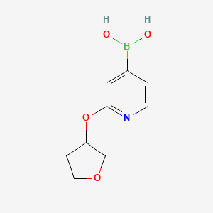 Chemical structure of 2-(Tetrahydrofuran-3-yloxy)pyridine-4-boronic acid
