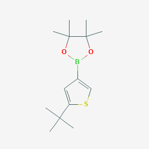 Chemical structure of 2-(tert-Butyl)thiophene-4-boronic acid pinacol ester