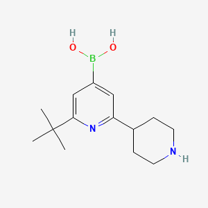Chemical structure of 2-(tert-Butyl)-6-(piperidin-4-yl)pyridine-4-boronic acid